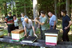 2014_07_06 089.jpg